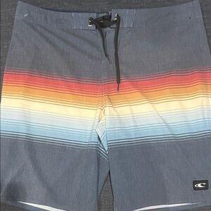 O'Neill Blue and Multicolor Stripe Board Shorts